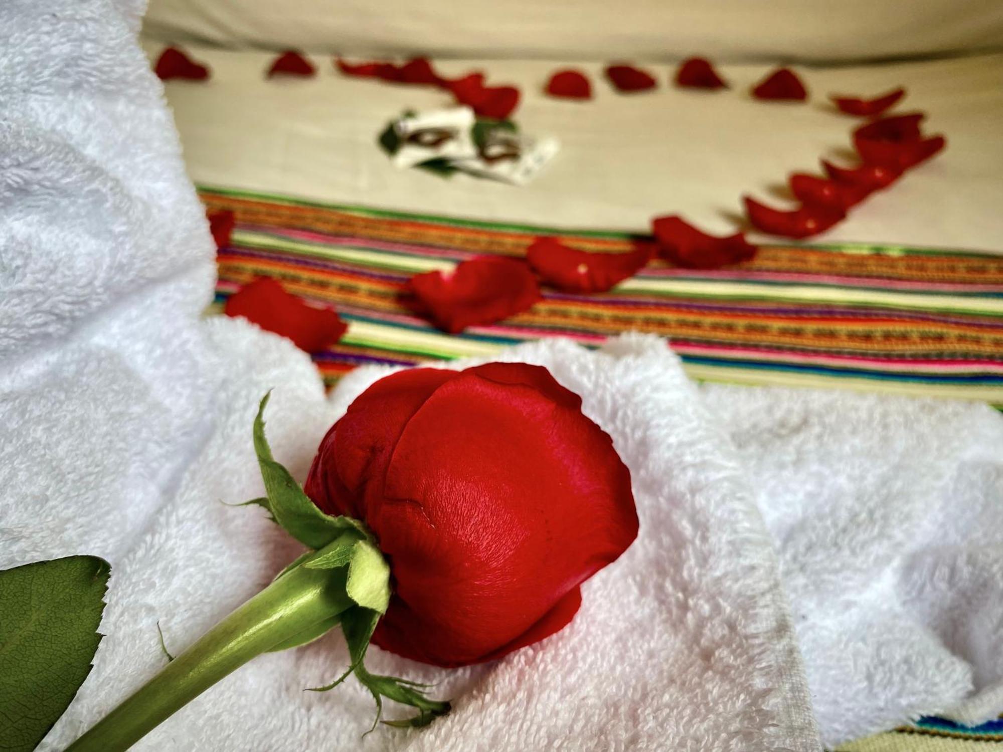 Andean Dreams Hotel 쿠스코 외부 사진